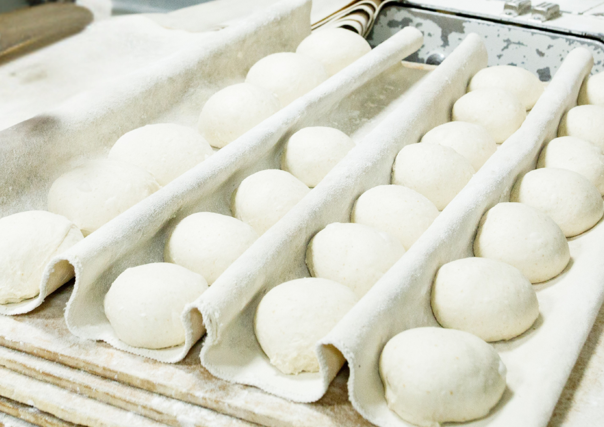 伝統と科学の融合